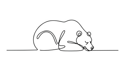 One continuous line illustration of an polar bear , isolated on white background. © line