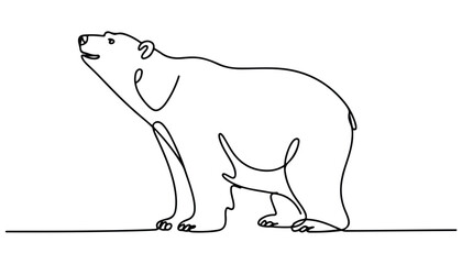 One continuous line illustration of an polar bear , isolated on white background. © line