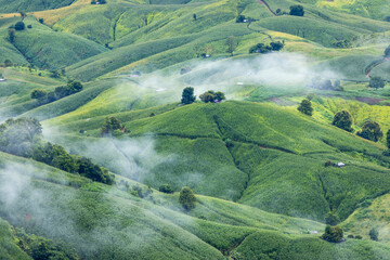 Landscape of Morning Mist with Mountain Layer. mountain ridge and clouds in rural jungle bush forest