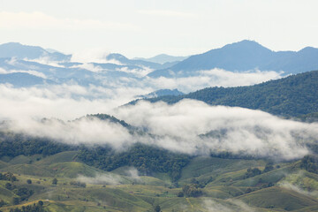 Landscape of Morning Mist with Mountain Layer. mountain ridge and clouds in rural jungle bush forest