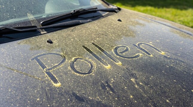 Heavy pollen dust dirty car showing seasonal allergy trigger springtime allergen accumulation on vehicle surface