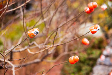 DARUMA dollss with Japaness word, which means victory, in Kachioji Temple Osaka Japan