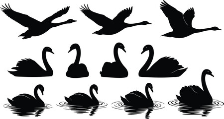 Swan, silhouette, bird, flying, swimming, floating, water, ripple, nature, graceful, posture, black, white, vector, flat, collection, illustration, cad drawing flat vector illustration © VectoInfinity 
