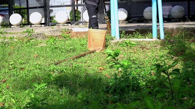 Middle-aged man sweeping fallen leaves with a traditional bidi broom in a park garden during the morning. This peaceful scene of routine maintenance is ideal for background footage.