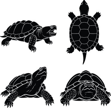Black silhouettes of snapping turtle vector illustration set showing different views, angry animal icon, predatory water reptile sign.