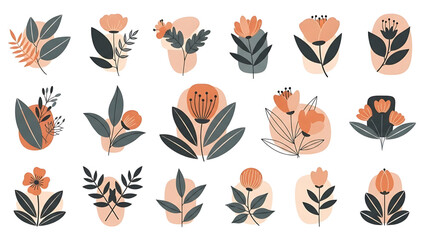 Fototapeta premium Botanical vector illustrations of decorative floral elements and leaves in a minimalist style