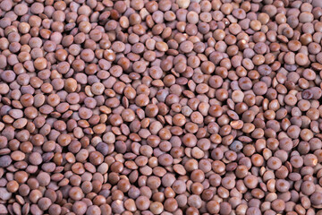 Highresolution image showcasing textured brown lentils with warm tones, Extreme closeup of scattered brown lentils displaying intricate surface details and natural color palette