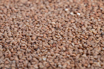 Pantry bulk buckwheat groats ready for storage and meal prep, coarse kernels filling container, warm brown hues suggesting longterm staple, ideal for supermarket and recipe imagery