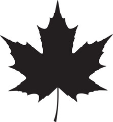 Black silhouette of a single maple leaf with a white background