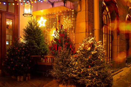 New Year 's decoration of the entrance to the building . A festively decorated city street. Green Christmas trees with toys on the background of walls and windows.