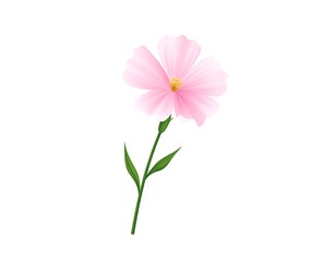 A delicate pink flower with a yellow center and a slender green stem and leaves isolated on a white background