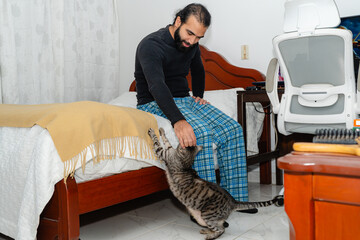 Person interacting with tabby cat reaching up on bed in cozy bedroom