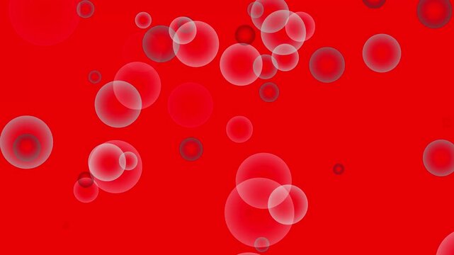 Red Bubble Blood Cell Motion Background | Abstract Cellular Animation
