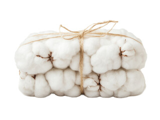 Bundle of Natural Cotton Bolls with Twine