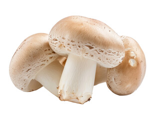 Fototapeta premium Fresh Whole Button Mushrooms Isolated