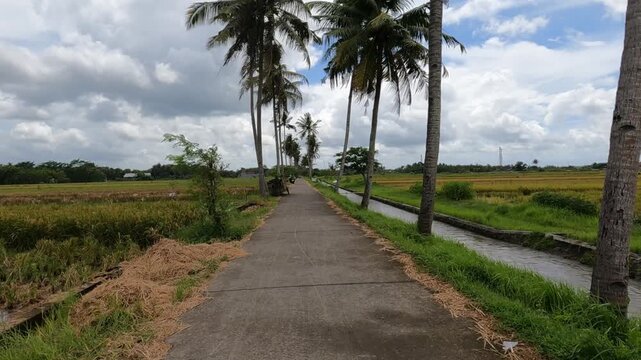 path in the park, POV Motorcycle Riding: Java, Indonesia, South East Asia: