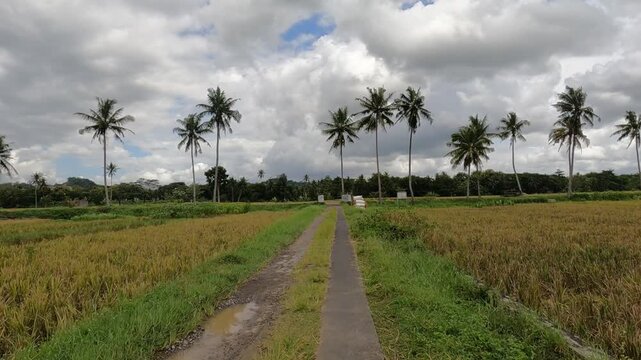 road in the countryside, POV Motorcycle Riding: Java, Indonesia, South East Asia:
