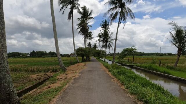 road in the forest, POV Motorcycle Riding: Java, Indonesia, South East Asia: