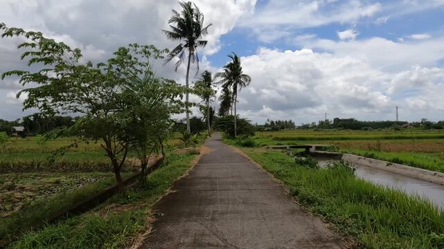 country road in the field, POV Motorcycle Riding: Java, Indonesia, South East Asia: