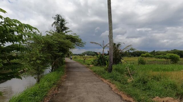 road in the woods, POV Motorcycle Riding: Java, Indonesia, South East Asia: