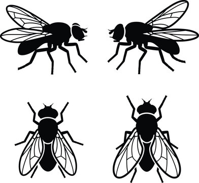 silhouette black flies on white background for insect logo design.