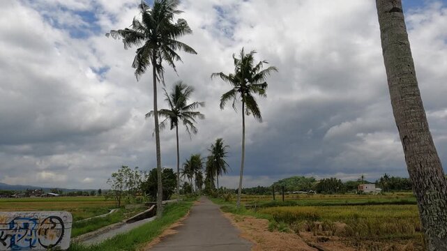 road to the clouds, POV Motorcycle Riding: Java, Indonesia, South East Asia:
