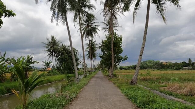 path in the field, POV Motorcycle Riding: Java, Indonesia, South East Asia