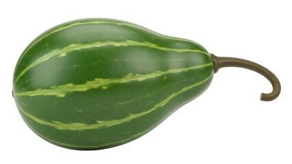 Green striped pear gourd PNG isolated on transparent background, decorative autumn squash for Thanksgiving and Halloween