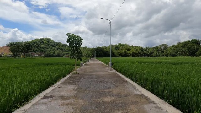 POV Motorcycle Riding: Java, Indonesia, South East Asia: Calm Morning POV Riding Through Rice Field Countryside