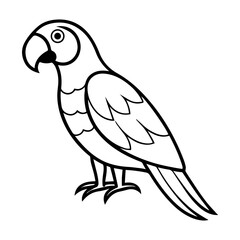 Obraz premium Parrot Vector Illustration | Tropical Bird Line Art Design
