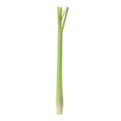 Fototapeta premium Fresh Lemongrass stalk with a slender green stem and slender leaves isolated on transparent background