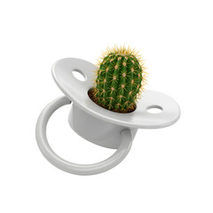 Cactus in baby pacifier on black background
