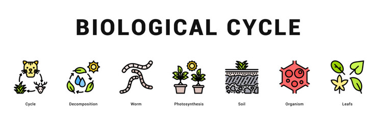 Biological Cycle Modern and clean web banner illustration featuring thematic icons for visual communication