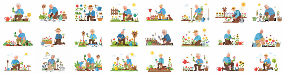 Happy Elderly Men Gardening Illustration Set: Grandfather Planting Flowers, Enjoying Active Retirement, Hobby, and Springtime Horticulture.