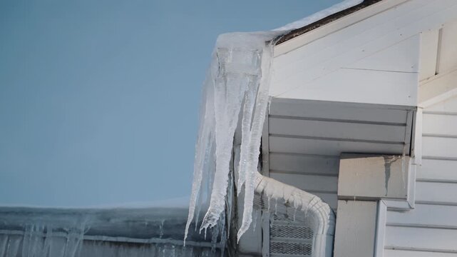 Long, heavy icicles forming along the edge of a roof and gutter on a cold winter day. Water drips from the melting ice as sunlight hits the frozen structures