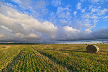 A Serene Rural Landscape Featuring Bales Set Against a Dramatic and Beautiful Sky Above