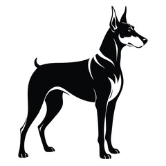 doberman pinscher line art silhouette vector illustration