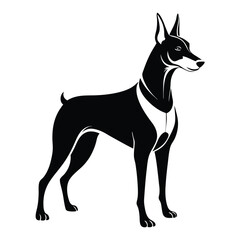 doberman pinscher line art silhouette vector illustration