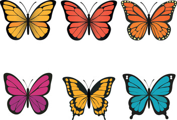 Colorful Butterfly Vector Illustration Set