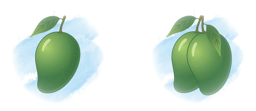 Green Raw Mango Vector Illustration