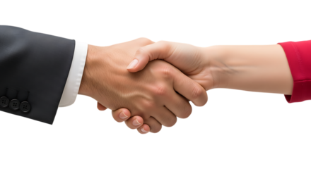 Business partners shaking hands
