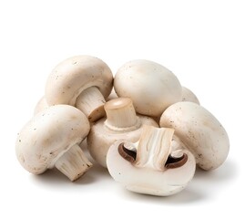 mushrooms on a white background