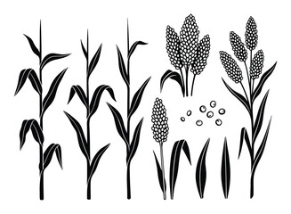 Black and White Sorghum and Corn Plant Silhouettes Illustration, Farming Theme Isolated on White Background