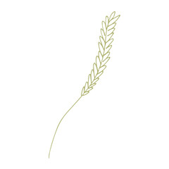 Hand drawn cereal wheat oat rye barley rice ears spikelet clipart Organic wheat bread agriculture farming harvest healthy food Single element for print packaging label design decor