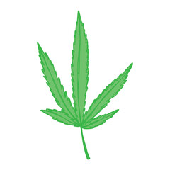 Hand drawn cannabis leaf Medicine marijuana Hemp leaves clipart in doodle style Single element for print, web, design, decor