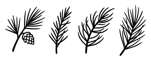 Four Black and White Pine Branches with Needles and a Cone Illustration