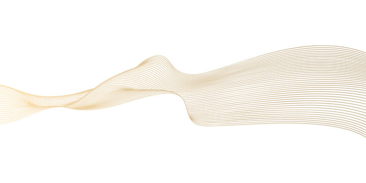 Abstract vector wavy lines flowing smooth curve gold gradient color on transparent background in concept of luxury, technology, science, music, modern.