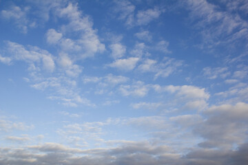 Fototapeta premium The sky is covered with fluffy clouds