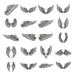 Collection of Detailed Angel Wings Illustrations for Design Projects 1.