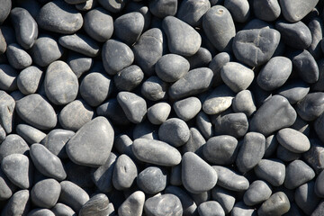 黒玉砂利　黒い小石